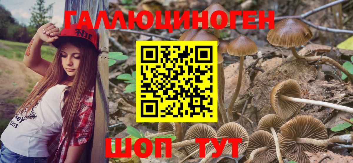 Псилоцибиновые грибы мицелий  Галлюциногенные грибы Psilocybine cubensis  Алатырь  Вход с VPN 