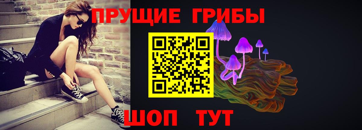 Псилоцибиновые грибы мицелий Алатырь