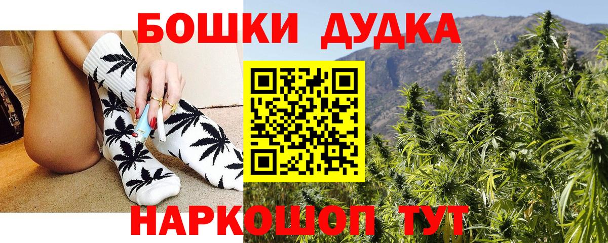 Канабис семена  Марихуана планчик  Алатырь  МАРИХУАНА гибрид  МАРИХУАНА ГИДРОПОН  Вход с VPN 
